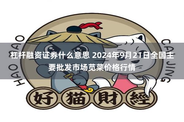 杠杆融资证券什么意思 2024年9月21日全国主要批发市场苋菜价格行情