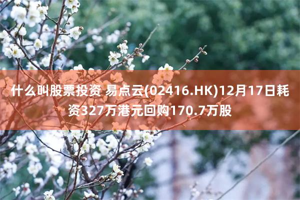 什么叫股票投资 易点云(02416.HK)12月17日耗资327万港元回购170.7万股