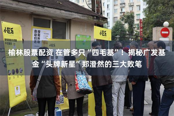 榆林股票配资 在管多只“四毛基”！揭秘广发基金“头牌新星”郑澄然的三大败笔