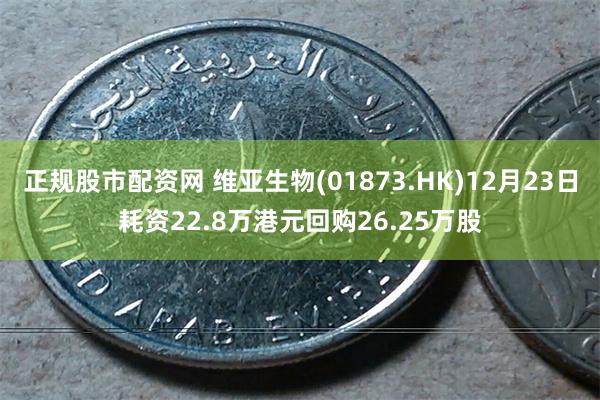 正规股市配资网 维亚生物(01873.HK)12月23日耗资22.8万港元回购26.25万股