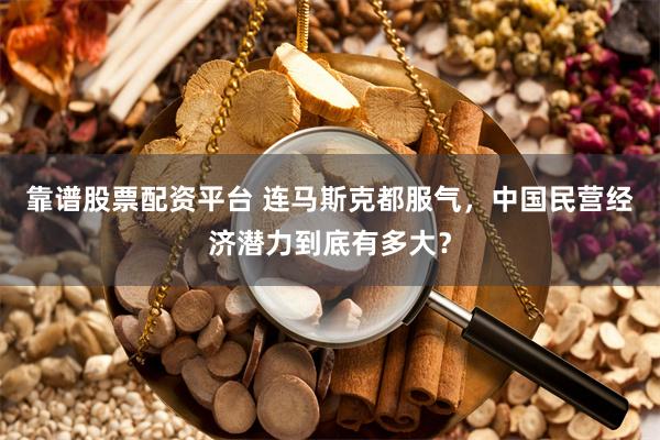 靠谱股票配资平台 连马斯克都服气，中国民营经济潜力到底有多大？