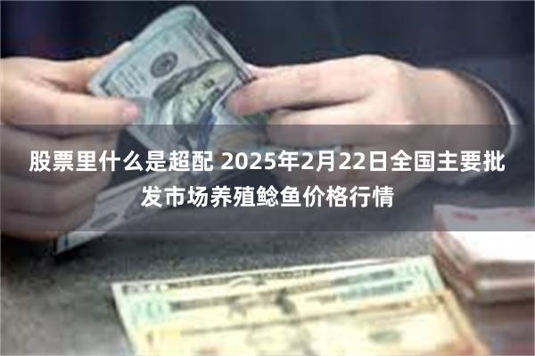 股票里什么是超配 2025年2月22日全国主要批发市场养殖鲶鱼价格行情