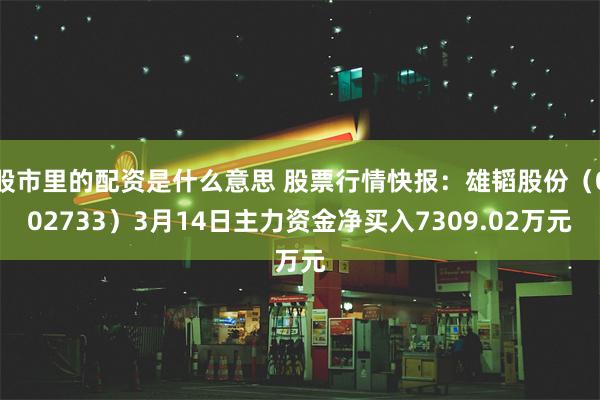 股市里的配资是什么意思 股票行情快报：雄韬股份（002733）3月14日主力资金净买入7309.02万元